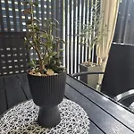 Sunny Rest Nest *