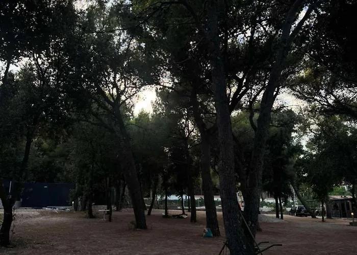 Sunny Rest Nest Semesterbostad Pakoštane